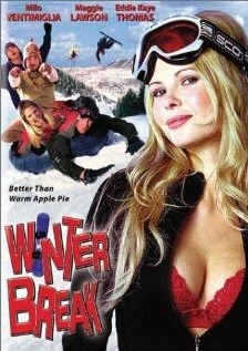 Постер: Просто праздник какой-то! / Winter Break (2003)