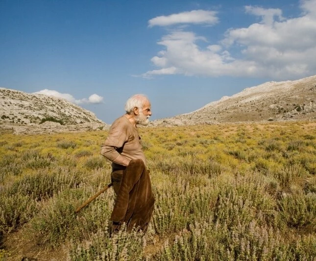 Кадр из Сонетаула (2008) Кадр 1 из фильма Сонетаула / Sonetàula (2008)
