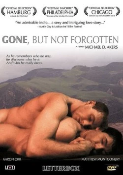 Постер: Ушел, но не забыт / Gone, But Not Forgotten (2003)