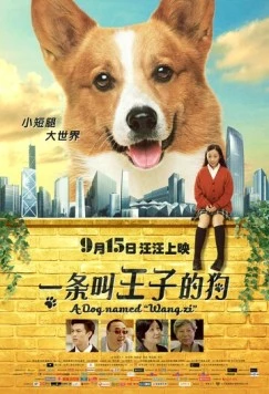 Постер: Собака по имени Принц / Ge ji Wang Zi (2016)
