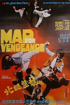 Постер: Безумная месть / Mad For Vengeance (1977)