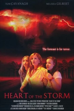 Постер: Страшнее шторма (2004)