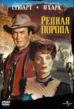 Постер: Редкая порода / The Rare Breed (1966)