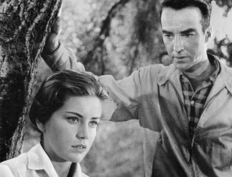 Кадр из Одинокие сердца (1958) Кадр 2 из фильма Одинокие сердца / Lonelyhearts (1958)