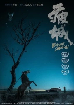 Постер: Убей тень / Pi cheng (2017)