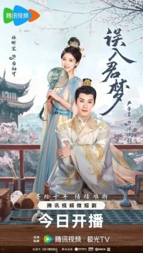 Постер: Невыразимая тоска / Wu ru jun meng (2024)