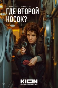 Постер: Где второй носок? (2024)