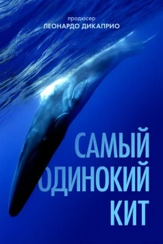 Постер: Самый одинокий кит / The Loneliest Whale: The Search for 52 (2021)