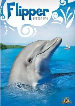 Постер: Флиппер / Flipper (1964)