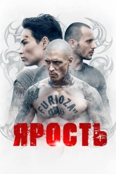 Постер: Ярость / Furioza (2022)