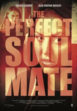 Постер: Родственные души / The Perfect Soulmate (2017)