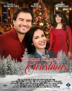 Постер: Дорога домой на Рождество / The Road Home for Christmas (2019)