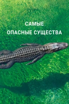 Постер: Самые опасные существа / Nature's Most Dangerous (2021)