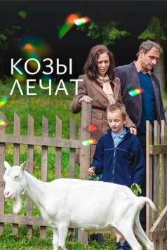 Постер: Козы лечат / Kozy lécí (2017)