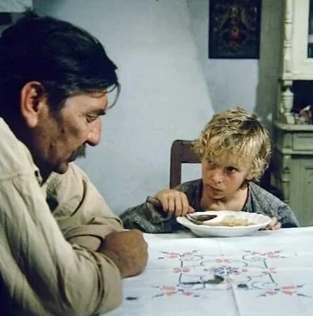 Кадр из Сиротка (1976) Кадр 2 из фильма Сиротка / Árvácska (1976)