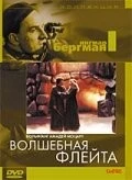 Постер: Волшебная флейта / Trollflöjten (1975)