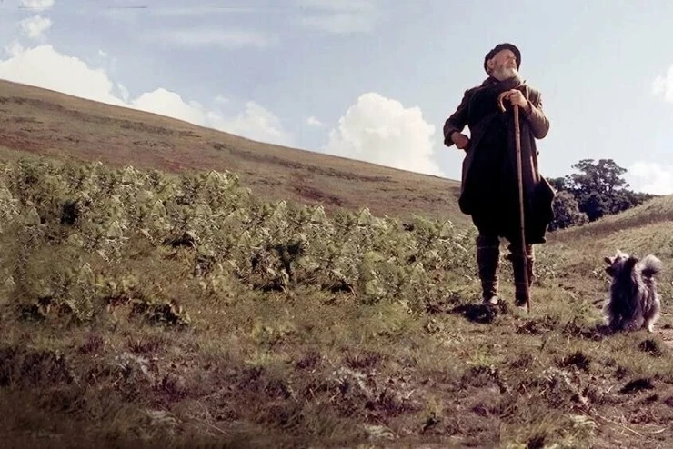 Кадр из Бобби из Грейфраерса: Правдивая история (1961) Кадр 2 из фильма Бобби из Грейфраерса: Правдивая история / Greyfriars Bobby: The True Story of a Dog (1961)
