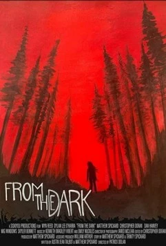Постер: Из темноты / From the Dark (2020)