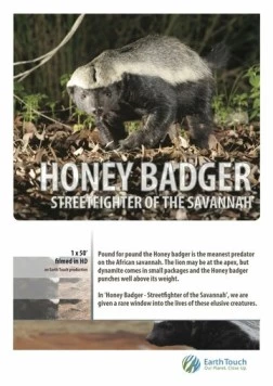 Постер: Жизнь одного медоеда / Ultimate Honey Badger (2013)