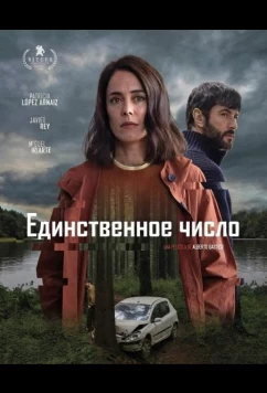 Постер: Единственное число / Singular (2025)