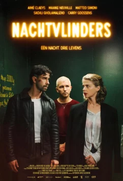 Постер: Мотыльки / Nachtvlinders (2025)
