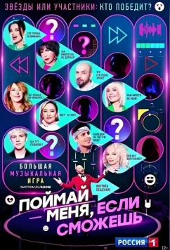 Постер: Поймай меня, если сможешь (2024)