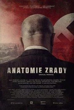 Постер: Анатомия предательства: Часть 2 / Anatomie zrady 2 (2020)