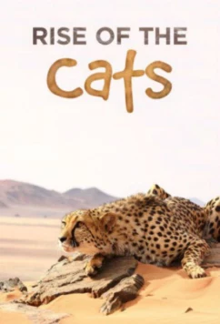 Постер: Большие кошки: Удивительная семья / Cats: An Amazing Animal Family (2015)