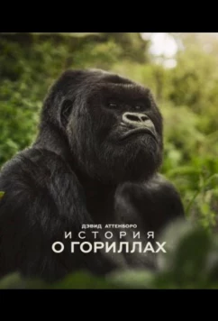 Постер: Дэвид Аттенборо. История о гориллах / A Gorilla Story: Told by David Attenborough (2026)