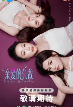 Постер: Дорогой враг / Dear Enemy (2025)
