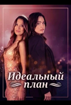Постер: Идеальный план / Ordinary Girl in a Tiara (2025)