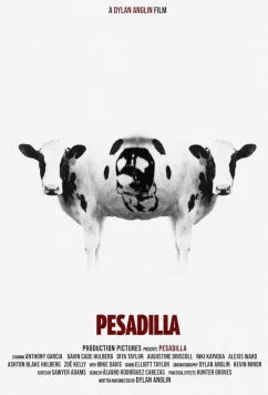 Постер: Ночной кошмар / Pesadilla (2024)