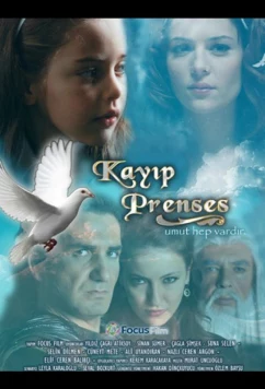 Постер: Потерянная принцесса / Kayip Prenses (2010)