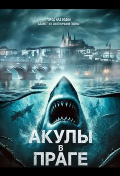 Постер: Акулы в Праге / Sharks in Prague (2025)
