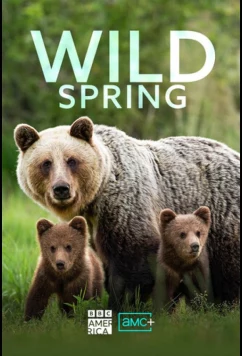 Постер: Дикое весеннее пробуждение / Wild Spring (2026)