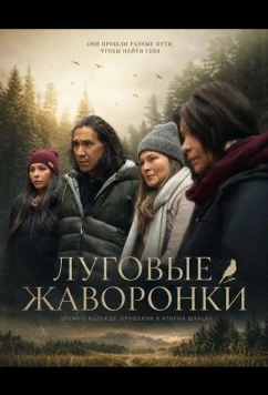 Постер: Луговые жаворонки / Meadowlarks (2025)