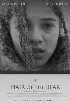 Постер: Медвежья шкура / Hair of the Bear (2025)