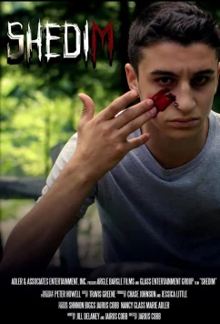 Постер: Шедим / Shedim (2020)