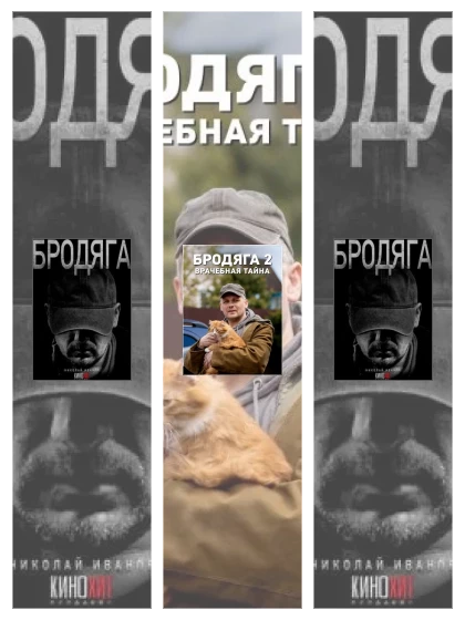 Постер: Бродяга: все части скачать через торрент файл